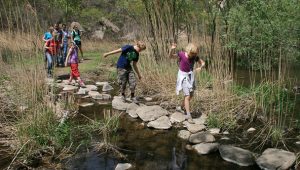 Intelligence-Valley-stepping-stones_608x344